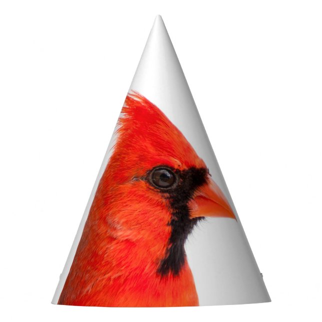 Cardinal Party Hat (Front)