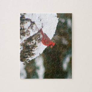 Cardinal Perched on a Snowy Bush Jigsaw Puzzle