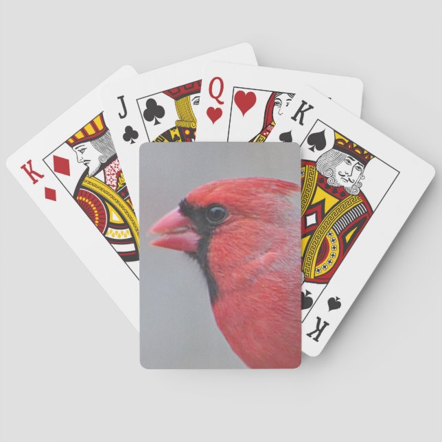 Cardinal photo playing cards (Back)