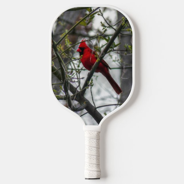 Cardinal Pickleball Paddle (Front)