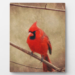 Cardinal Plaque