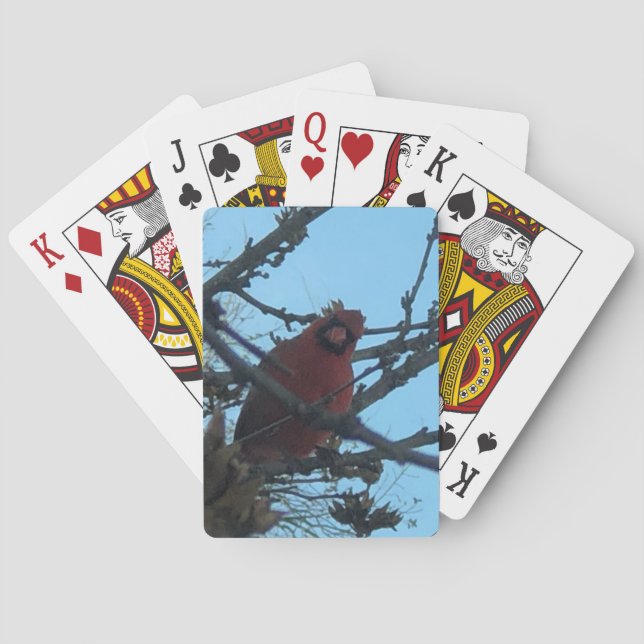 Cardinal Playing Cards (Back)