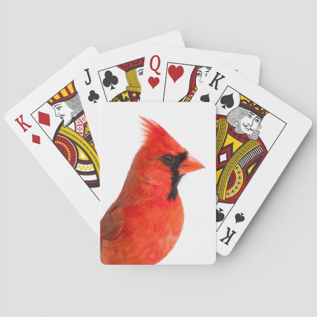 Cardinal Playing Cards (Back)