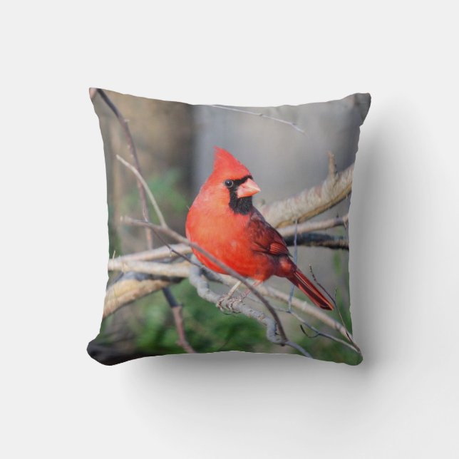 Cardinal Portrait Cushion (Front)