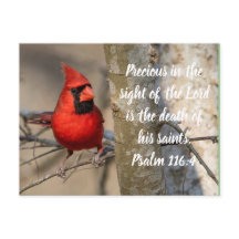 Cardinal Post Card Psalm 116:15