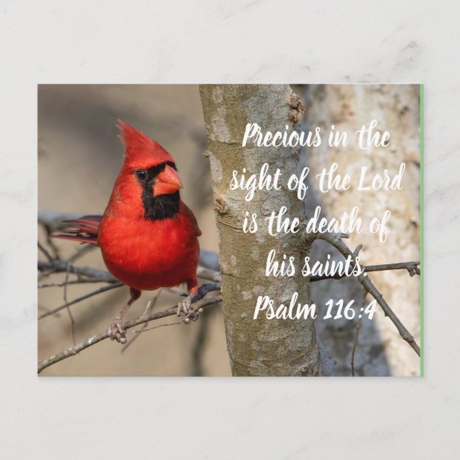Cardinal Post Card Psalm 116:15 (Front)