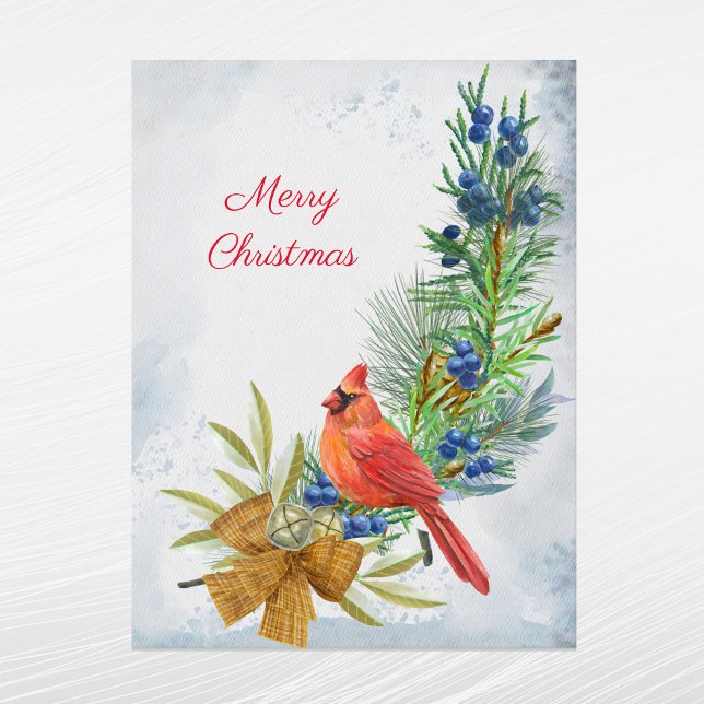 Cardinal Red Juniper Berries Christmas Holiday Postcard (Creator Uploaded)