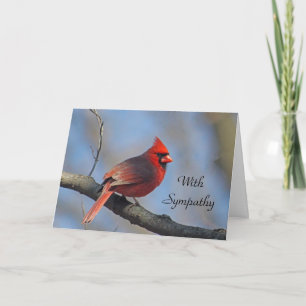Cardinal Red Songbird Sympathy Card