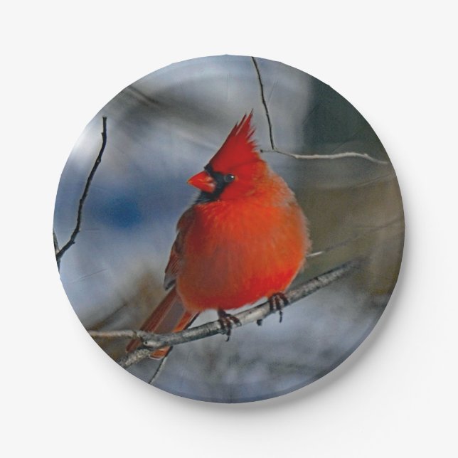 Cardinal Red Winter Photo Paper Plate (Front)