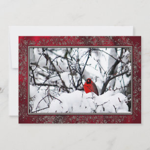 Cardinal Redbird Snow Photo Christmas Flat Holiday Card