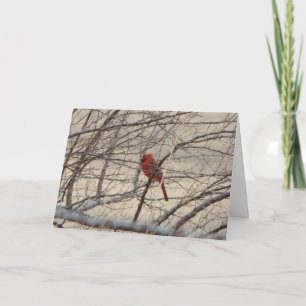 Cardinal/Robin, Joyful Song Card