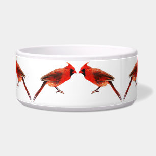 Cardinal(s)