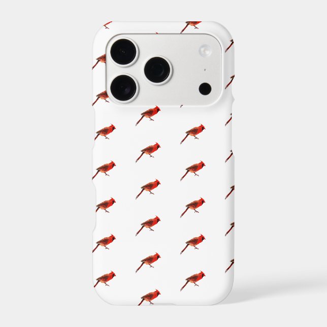 Cardinal(s) (Back)