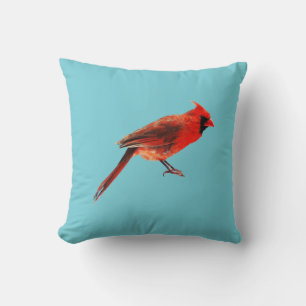 Cardinal(s) Cushion