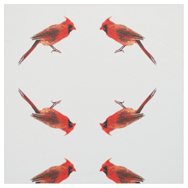 Cardinal(s) Fabric (Swatch)