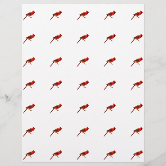 Cardinal(s) Flyer (Front)