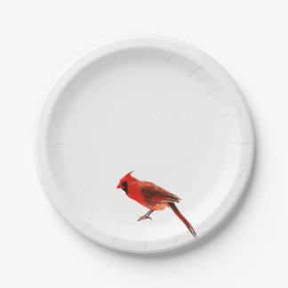 Cardinal(s) Paper Plate