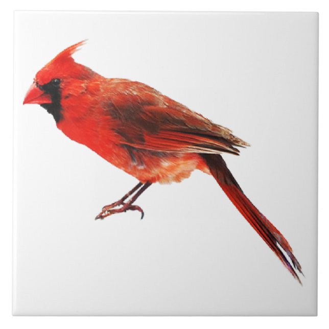 Cardinal(s) Tile (Front)