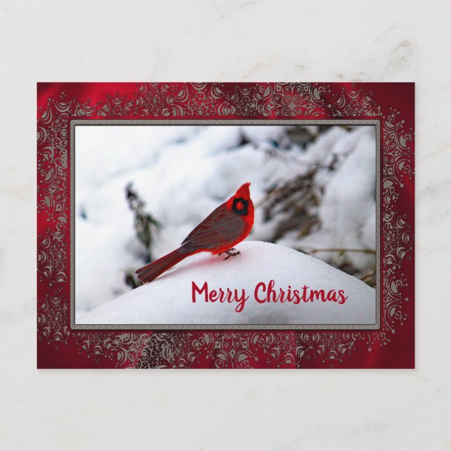 Cardinal Snow 6245 Frame Christmas Postcard (Front)