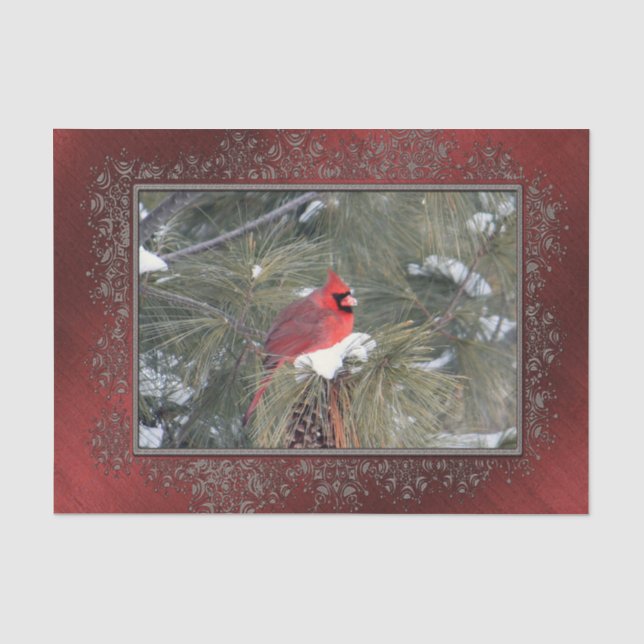 Cardinal Snow Pine Photo Tissue Paper (Front)