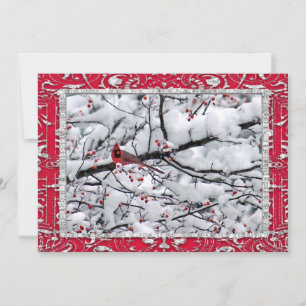 Cardinal Snow Tree Photo Christmas Flat Holiday Card
