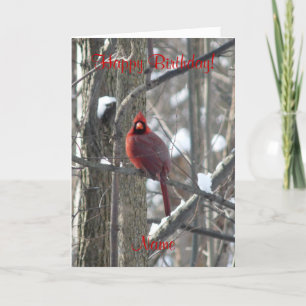 Cardinal-song bird in winter Birthday Card