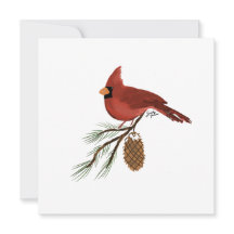 Cardinal Stationary Card