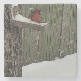 Cardinal Stone Coaster