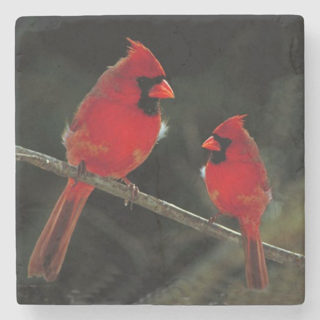 CARDINAL STONE COASTER (Front)