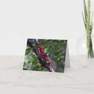 Cardinal thank you card