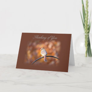 Cardinal Thinking of You Card