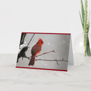 Cardinal Thinking of you card