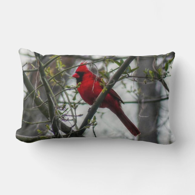 Cardinal Throw Pillow (Front)