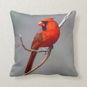 Cardinal Throw Pillow