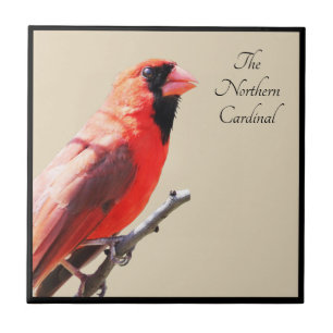 Cardinal Tile