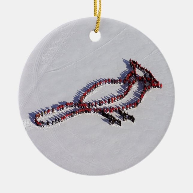 Cardinal two-sided ornament (Front)