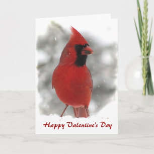 Cardinal Valentine Holiday Card
