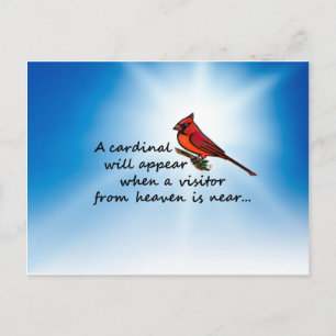 Cardinal, Visitor from Heaven Postcard