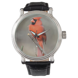 Cardinal Watch