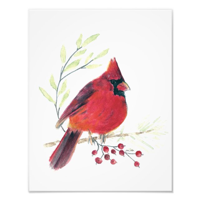 Cardinal Watercolor Photo Print (Front)