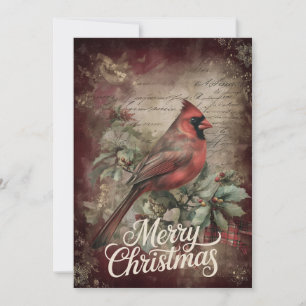 Cardinal with Plaid Scarf & Holly Branch Holiday Card