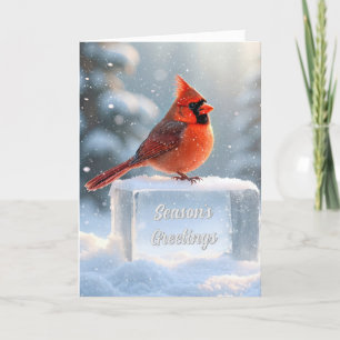Cardinal With Season's Greetings On Ice Holiday Card