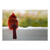 Cardinal with Visitor From Heaven poem 19x13