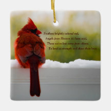 Cardinal with Visitor From Heaven poem