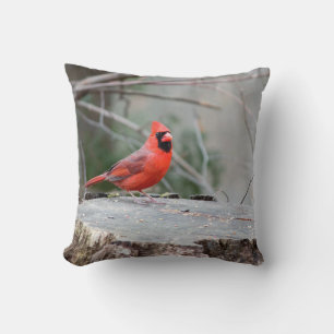 Cardinal Woodland Cushion