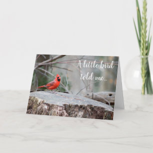 Cardinal Woodland  Greeting Card