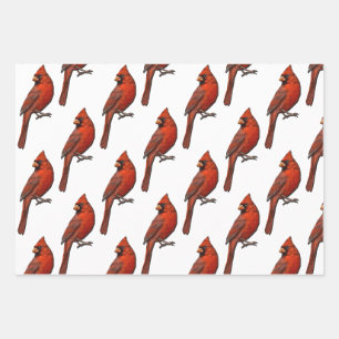 Cardinal Wrapping Paper Flat Sheet Set of 3