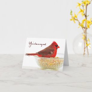 Cardinal - You've Been on My Mind - Blank Card