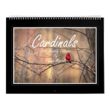 Cardinals 2018 Monthly Calendar By Thomas Minutolo