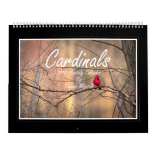Cardinals 2018 Monthly Calendar By Thomas Minutolo